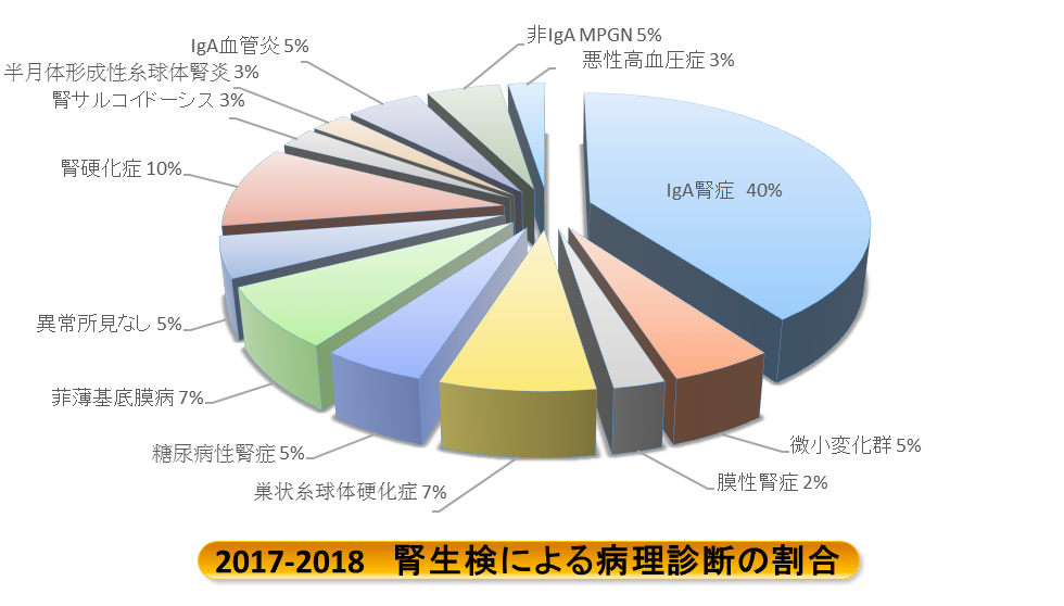 2017年~2018年 腎生検による病理診断の割合